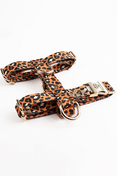 TheTailor Anti-Escape Collar Leo 3-Piece Collar Set Chest Collar - Neck Collar and Travel Collar