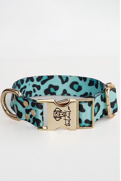 TheTailor The Tailor Blue Leo Collar