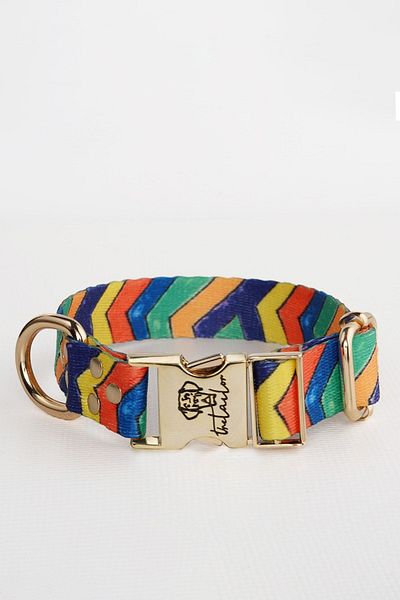 TheTailor Anti-Escape Collar Siesta Dog Collar