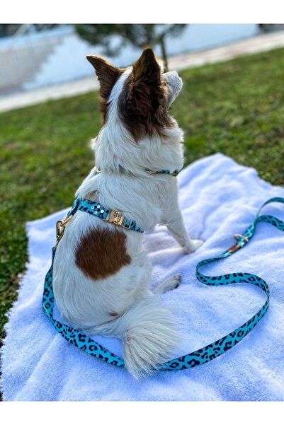 TheTailor The Tailor Blue Leo Göğüs Tasması