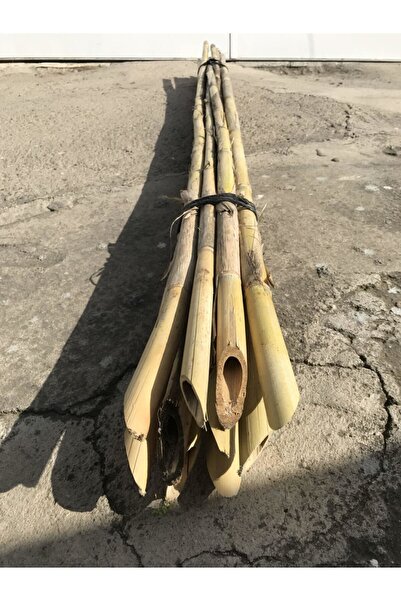 Akdeniz Fidan Bitki Destek Çubuğu Kalın Kamış Doğal Ve Organik 200-220 Cm 10 ...