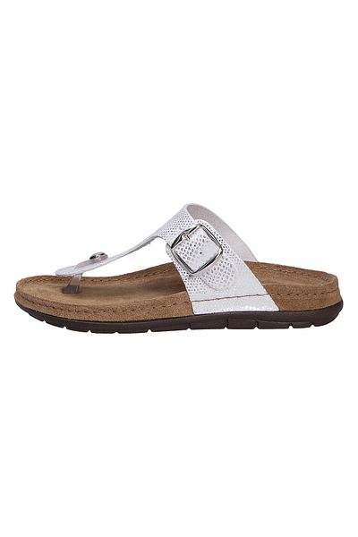 Rohde Pantolette