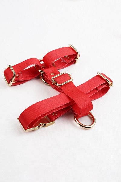 TheTailor The Tailor Red Stone Dog Collar