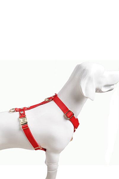 TheTailor The Tailor Kırmızı Taşlı Köpek Göğüs Tasması