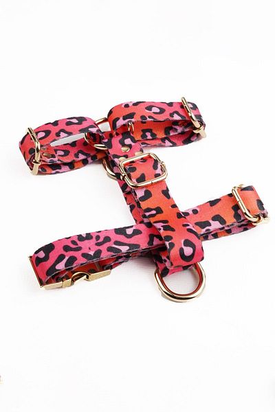 TheTailor Pink Leo Chest Collar - Tailor Xs-L Size