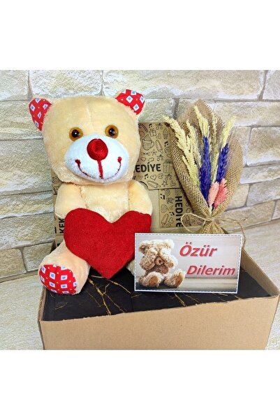 Orjinalhediyeler Beni Affet - Özür Dilerim Hediyesi