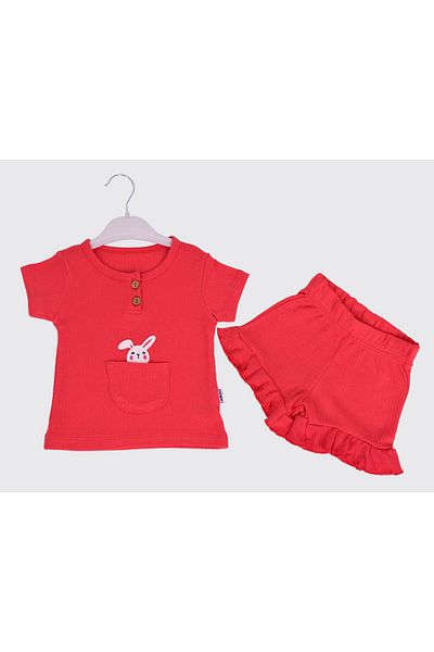 Babito Baby Girl's Double Combed Cotton Baby Set - Rabbit Detailed