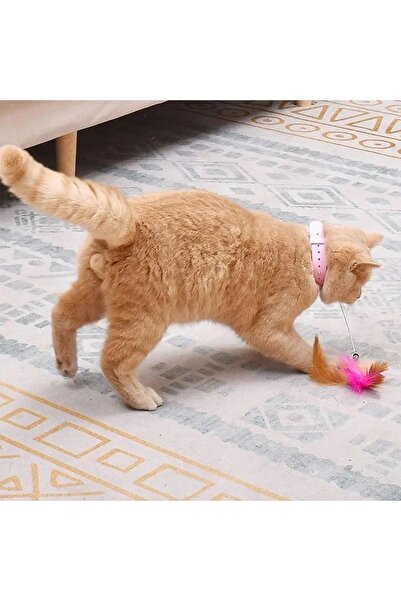 CeymSTecH Funny Cat Stick Retractable Spring and Pile Leash-Shaped Cat Toy