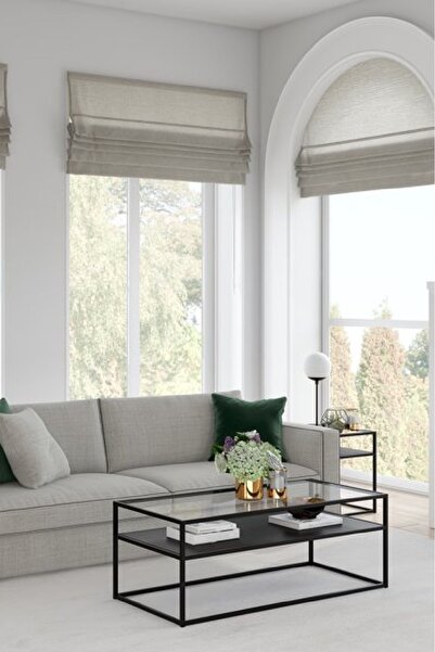 TOLIAHOME Modern Siyah Renk Metal İskeletli Temper Camlı 2 Katlı Dikdörtgen O...