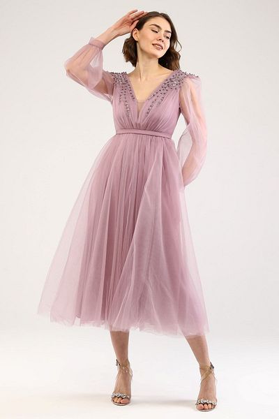 Asees Dream Tulle Evening Dress with Pearls and Applique Detail