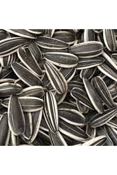 ürgüp kavruk kuruyemiş Yerli Ayçekirdeği Tuzlu 2x500gr