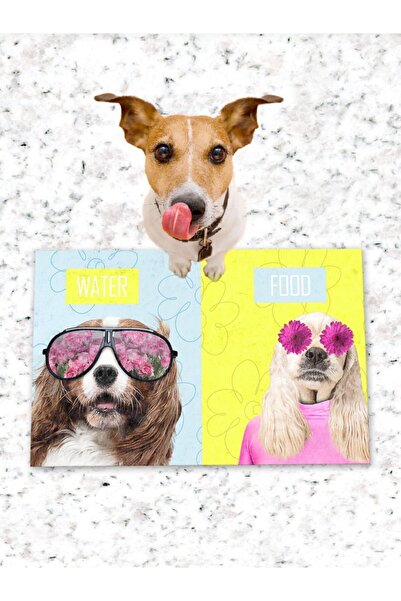 Patipeti طعام للكلاب والقطط وقاعدة تدريب مع قاعدة مضادة للانزلاق