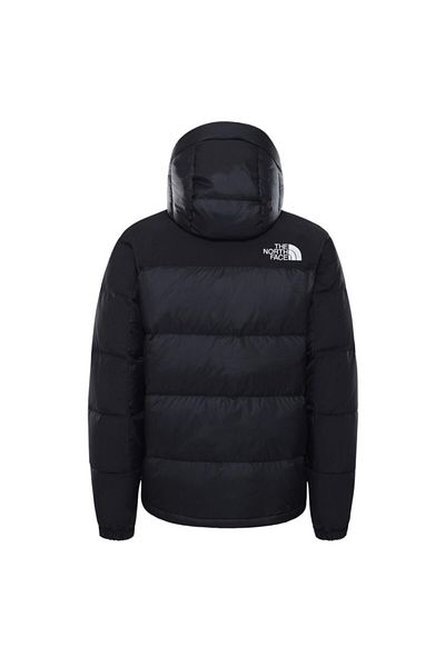 THE NORTH FACE The Northface Men's Hmlyn Down Parka Nf0a4qyxjk31