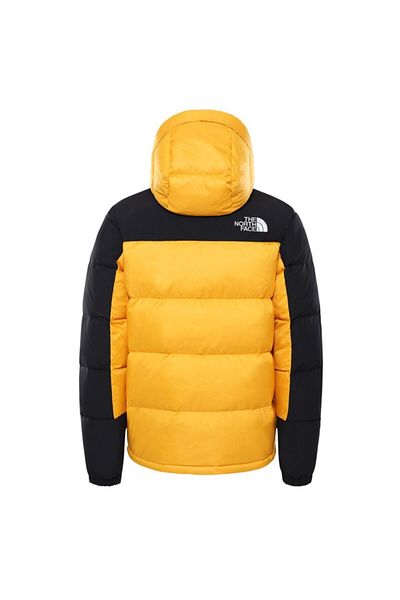 THE NORTH FACE The Northface Men's Hmlyn Down Parka Nf0a4qyx56p1