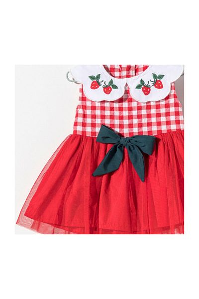 Şirin Şeyler Butiği Strawberry Baby Girl Kids Sleeveless Strawberry Embroidery Tutu Red Strawberry Dress Strawberry Dress