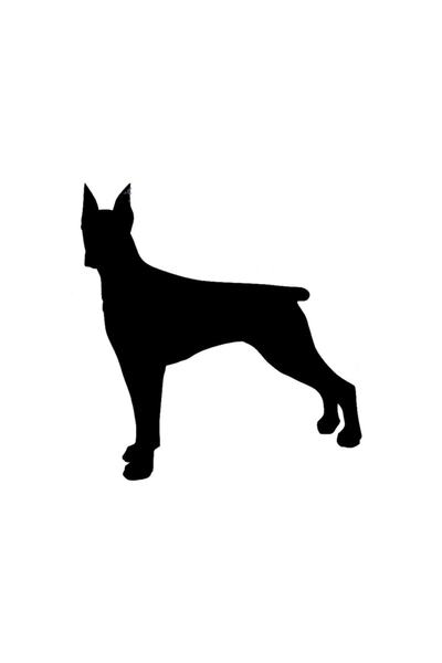 TSC Autocolant Câine Doberman Atent 17cm
