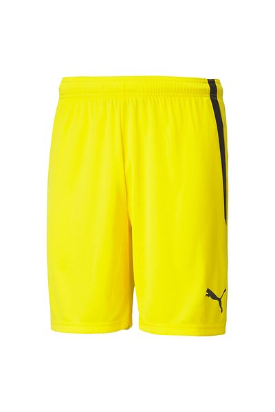 Puma TeamLIGA