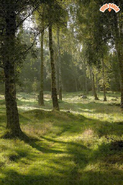 Teona Ahşap Işıltılı Orman Yolu Dekoratif Çift Katlı Çerçeveli Asılabilir Ahş...