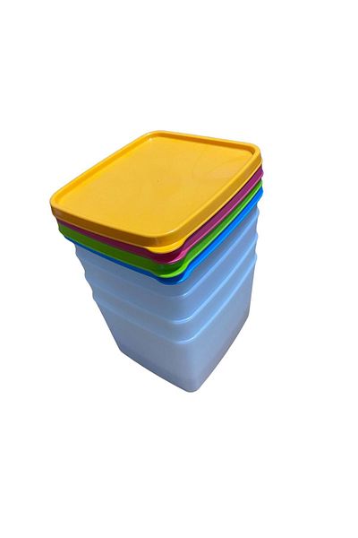 HOLLYHOME 4 Pieces 1.1 lt Alaska No Frost Storage Container, Deep Freezer Container