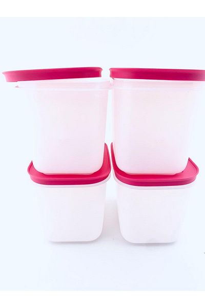 Tupperware Alaska 4-Piece 1.1 lt Deep Storage Container