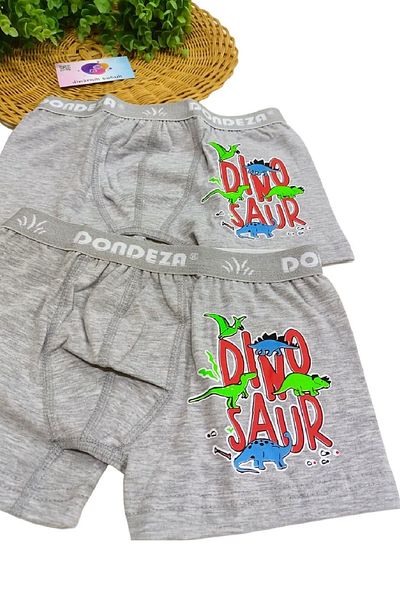 dinamik çocuk Boy's 95% Cotton Printed 2-Piece Boxer