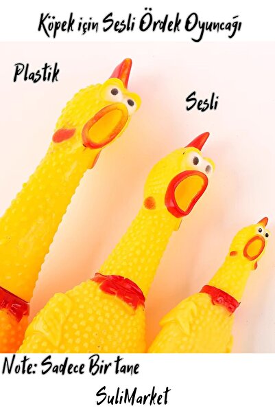PETQUATRO Köpek İçin Plastik Sesli Tavuk Ördek Oyuncağı