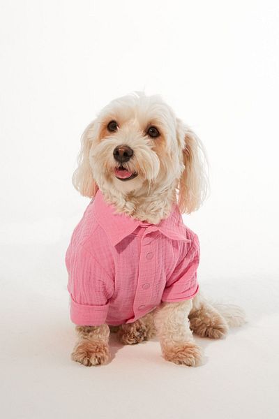 Lorico Dog Clothes - Dog Shirt (100% COTTON MUSLIN)