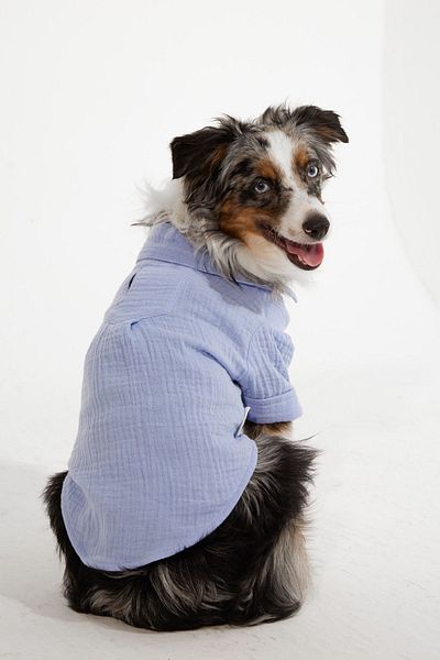 Lorico Dog Clothes - Dog Shirt (100% COTTON MUSLIN)