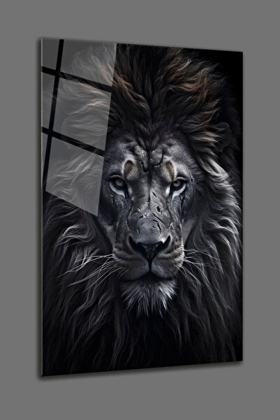 BV DEKOR ΚΟΝΤΙΝΗ ΦΩΤΟΓΡΑΦΙΑ ΜΕΓΕΘΥΝΣΗΣ ΑΝΤΙΚΑΤΟΜΠΟΛΙΣΤΗΡΙΑ ΜΕ ΛΙΟΝΤΑΡΙΑ - ΔΙΑ...