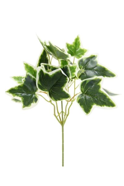 Dekorsende Ghirlandă artificială Hedera verde albă 34 cm