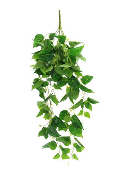 Dekorsende Yapay Patos Yapraklı Sarmaşık