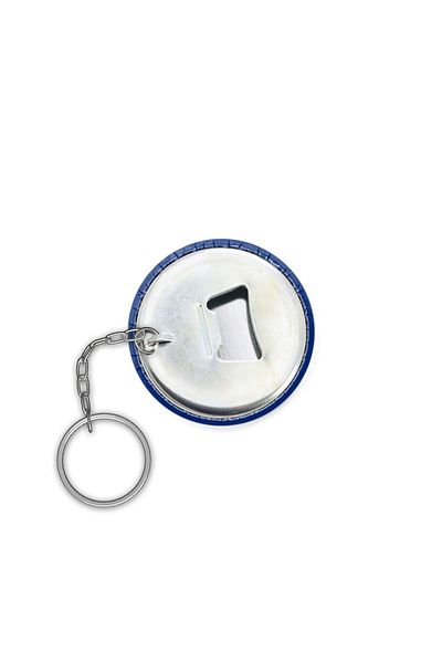 Fizello Edelweiss Flowers With Hellebore And Snowdrops On Blue Backgroun Keychain