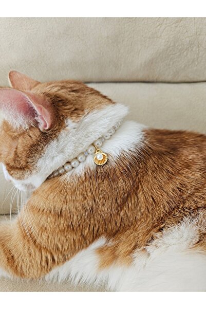 LE&DA Accessory İncili, kararmaz kaliteli gold çelik zincir, kedi tasması, kedi kolyesi, deniz kabuğu uç