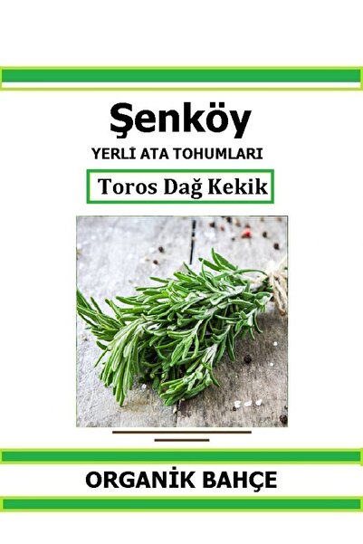 Şenköy Yerli Toros Dağ Kekik Tohumu Doğal Ata Tohum Pakette 50 Tohum + Hediye...