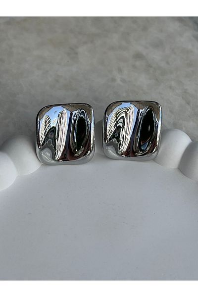 Sens Silver Plate Brand Steel Earrings