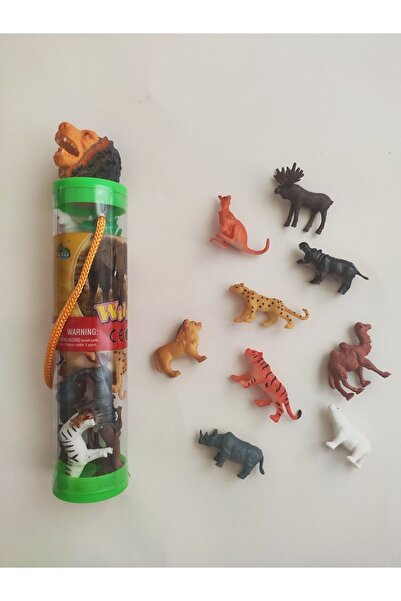 duyusaloyunatolyesi حيوانات الغابة الصغيرة