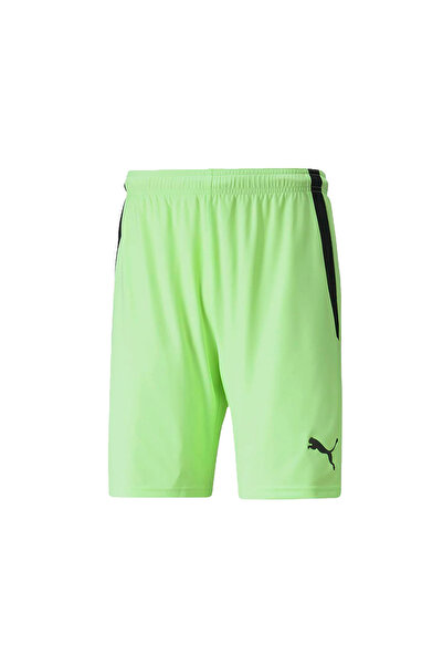 Puma TeamLiga Şort 704924