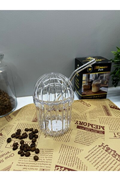 MİMOZA PARK MİKA Set of 2 Heat Resistant Oval Glass with Lid - Coffee and Presentation Glass 430 ml
