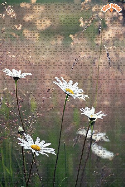 Teona Ahşap Bahar Rüyası Çiçekleri Dekoratif Çift Katlı Çerçeveli Asılabilir ...