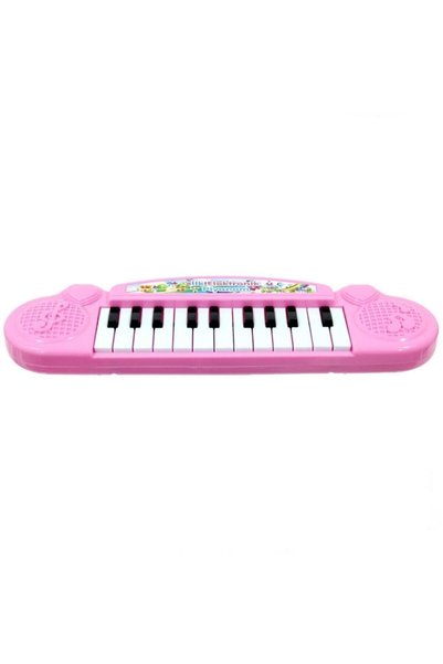 Can Ali Toys Pilli Mini 22 Tuşlu Org