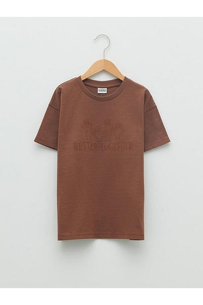 LC Waikiki LCW Kids Crew Neck Embroidery Detailed Short Sleeve Cotton Boy T-Shirt