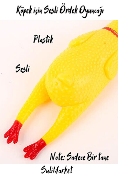 PETQUATRO Köpek İçin Plastik Sesli Tavuk Ördek Oyuncağı