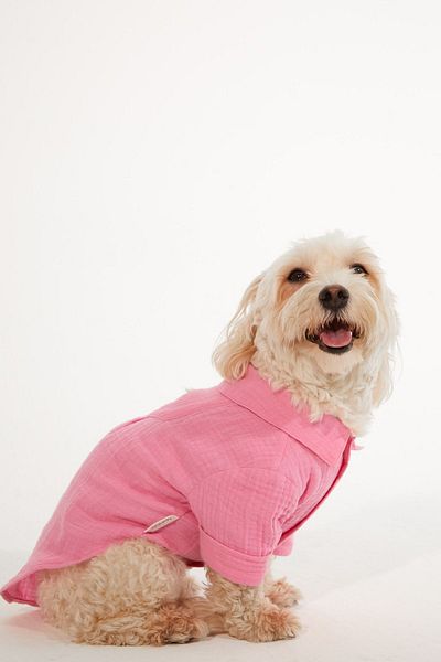 Lorico Dog Clothes - Dog Shirt (100% COTTON MUSLIN)