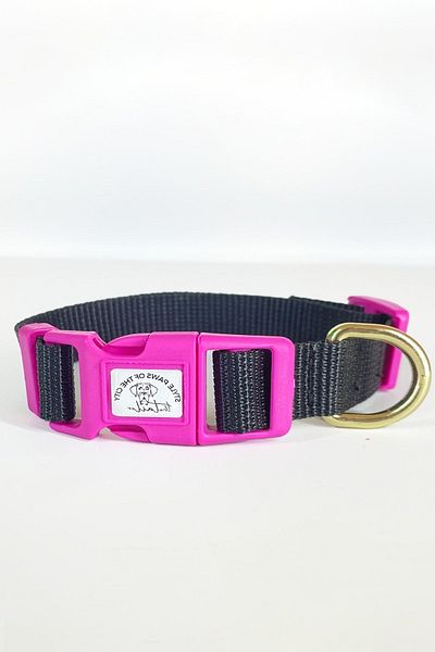 TheTailor Anti-Escape Collar Pla Clip Dog Collar