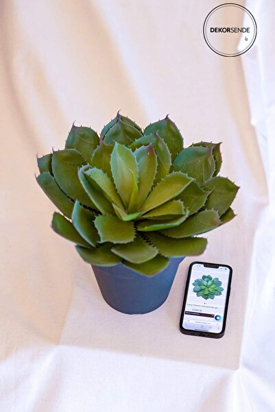 Dekorsende Suculentă artificială cu spini 35 cm