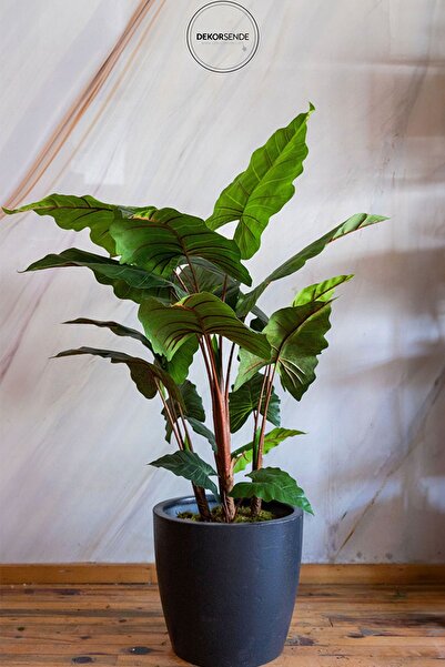 Dekorsende Yapay Fil Kulağı Ağacı 170 cm