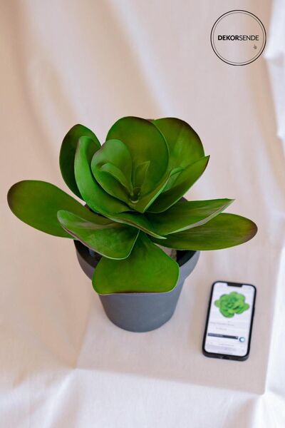 Dekorsende نبات عصاري صناعي 25 سم