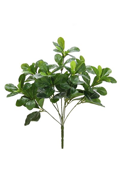 Dekorsende Ghirghita artificială Polyscias 40 cm