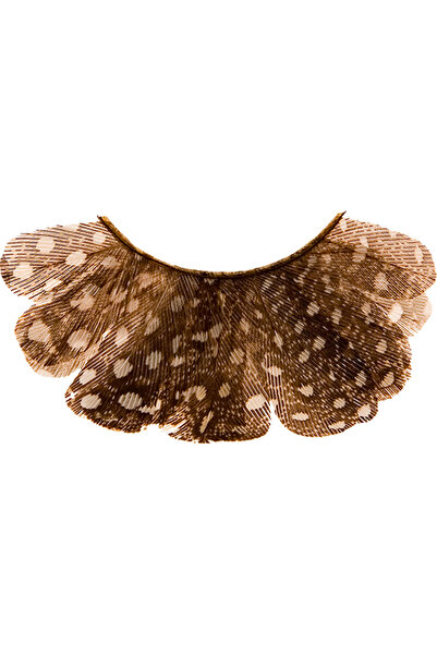 Kryolan Peacock Eyelashes