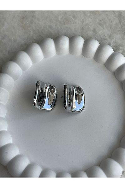 Sens Silver Plate Brand Steel Earrings